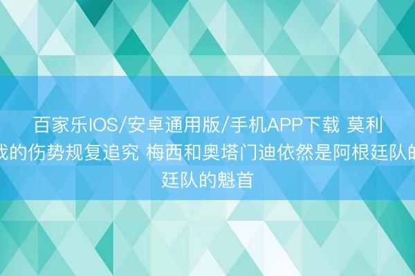 百家樂IOS/安卓通用版/手機APP下載 莫利納：我的傷勢規復追究 梅西和奧塔門迪依然是阿根廷隊的魁首